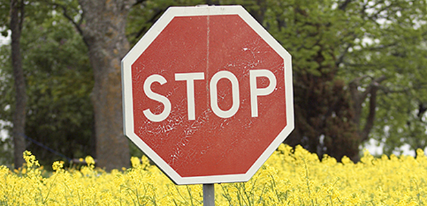 Stoppskylt framför blommande äng
