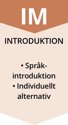 Introduktion - inriktning: Språkintroduktion samt individuellt alternativ