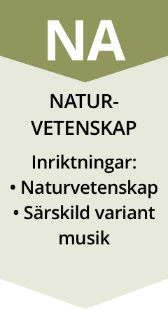 Naturvetenskap - inriktningar: Naturvetenskap, särskild variant musik
