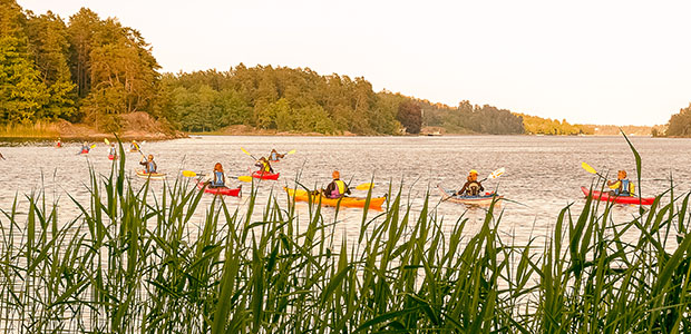 Bild på kanotister i vattnet runt Lidingö.