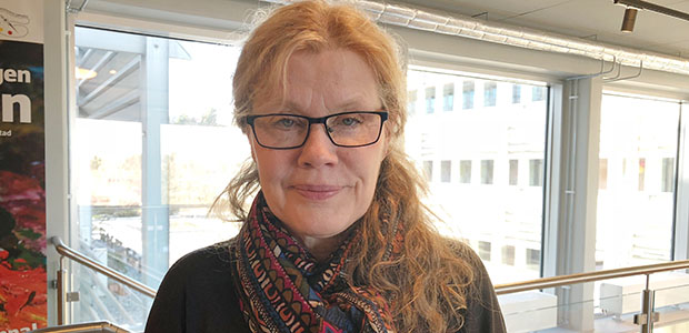 Anna Skagersten, chef för enheten arbetsmarknad, bostad och integration