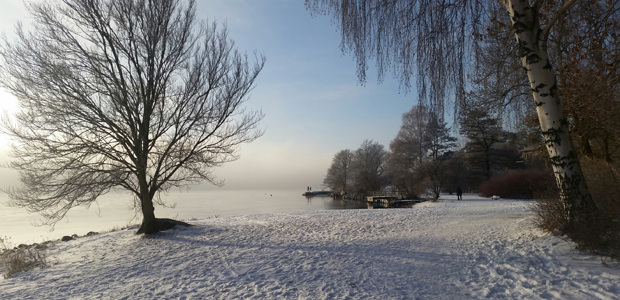 Snötäckt mark vid vattnet.