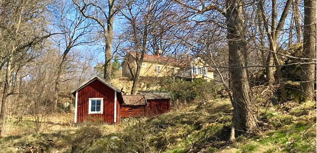 Hus i skogen