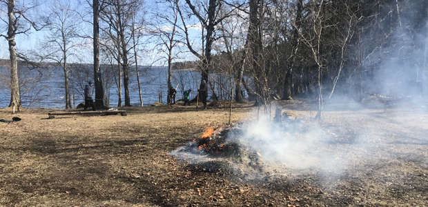 Fagning av Södergarnsängen. Foto: Isabel Hygstedt
