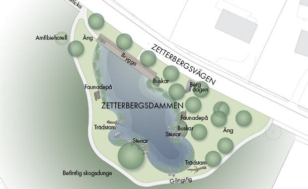 Skiss över Zetterbergsdammen med park. Trärd buskar, faunadepå, amfibiehotell, äng, stenar och gångstig runt dammen är utmärkta.