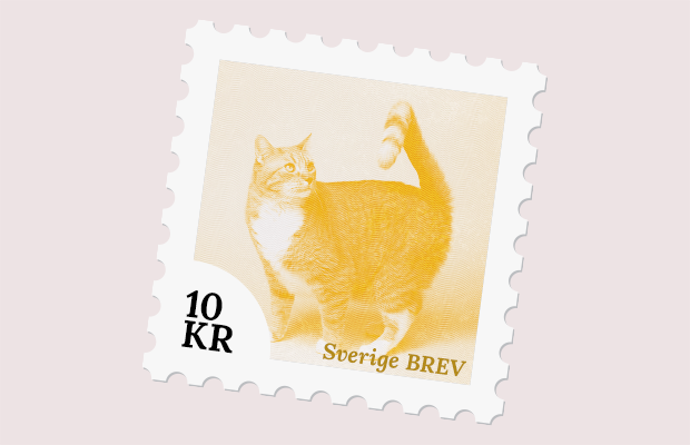 Montage på ett frimärke med kattmotiv.