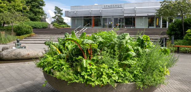 Urna med ätbara växter utanför stadshuset på Lidingö.