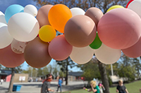 Käpphästar, Fritidshem och fritidsklubb
