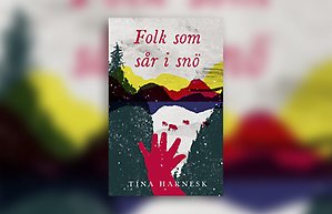 Bokomslag Folk som sår i snö. Omslaget är ett grafiskt bergslandskap.