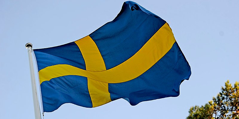 Sveriges flagga, nationaldagen, Erik Martensson,HedelinMedia